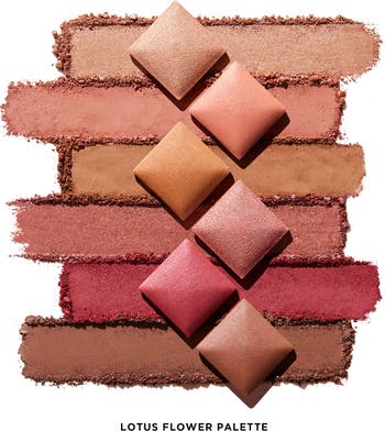 Ambient Lighting Edit Unlocked - Dragon Face Palette
