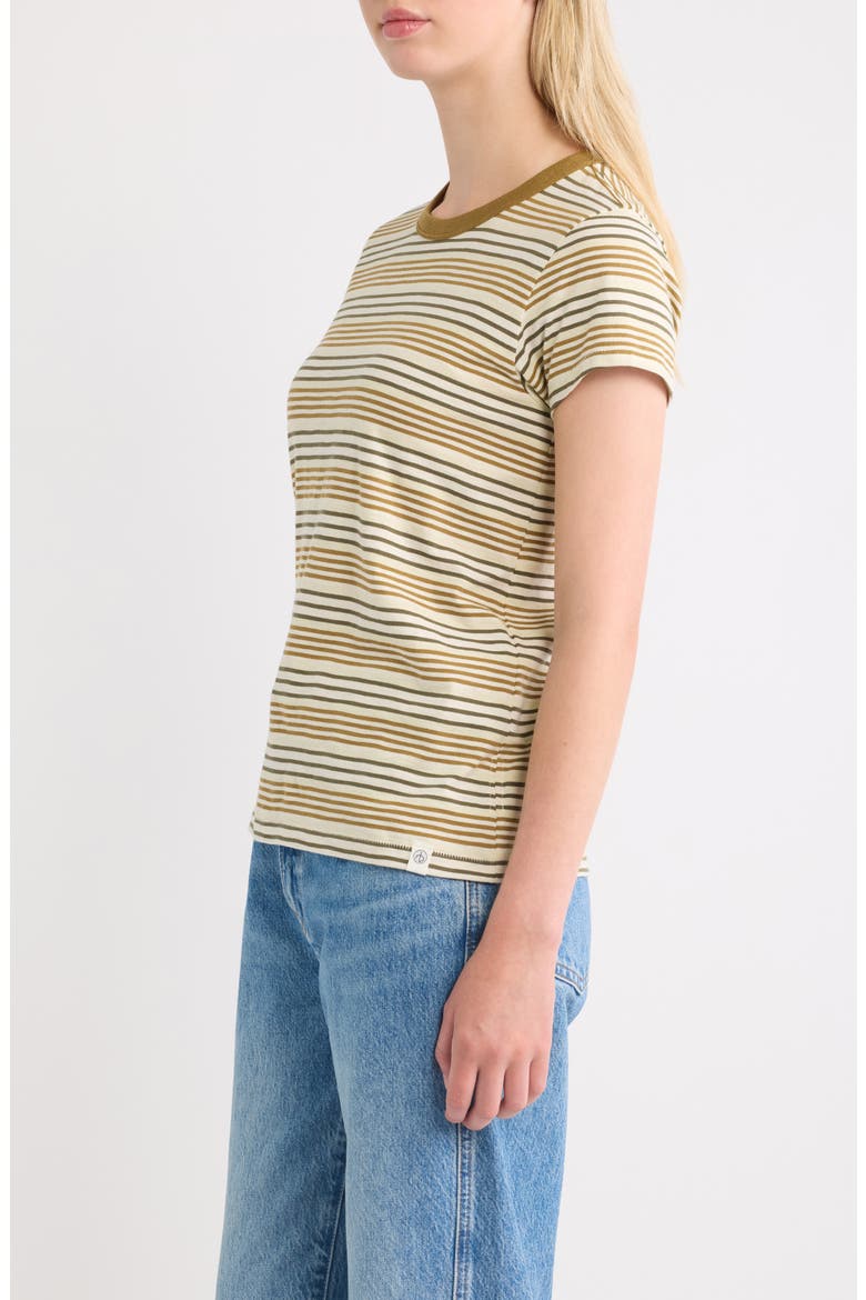 The Slub Stripe Cotton T-Shirt, Alternate, color, GREEN MULTI