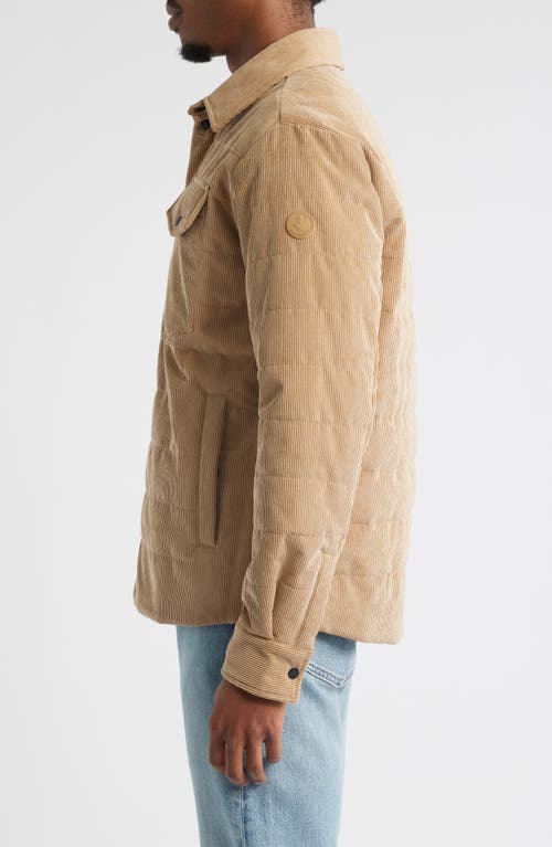 Save The Duck Magnus Water Repellent Corduroy Shirt Jacket In Brown