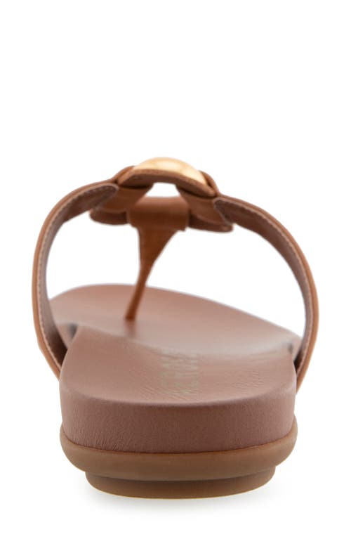 AEROSOLES AEROSOLES FALLON HARNESS SANDAL