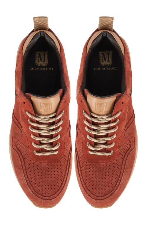 Bruno Magli Capri Sneaker In Sunset Suede