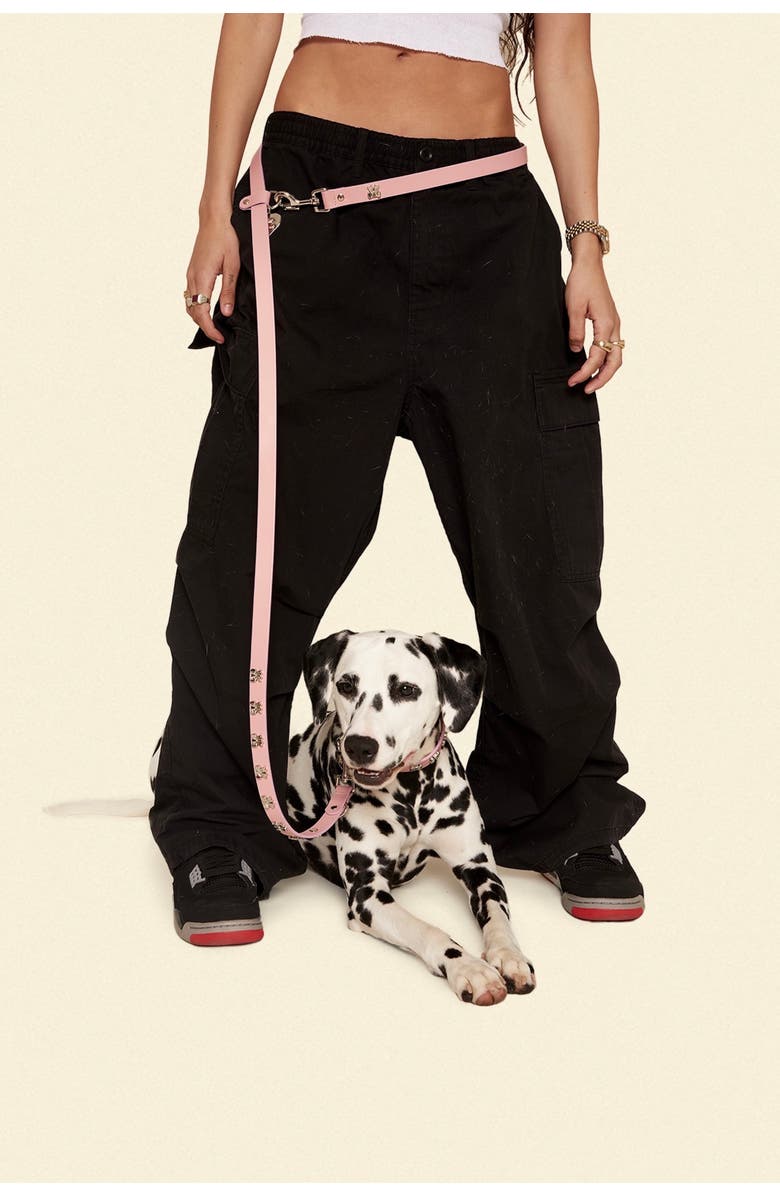 Little Beast Ian Charms x Little Beast Leather Pet Leash, Alternate, color, 