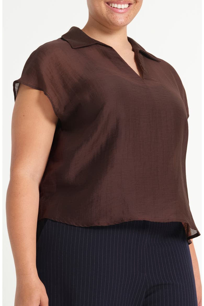 Kelly Sheer Top, Alternate, color, CHOCOLATE