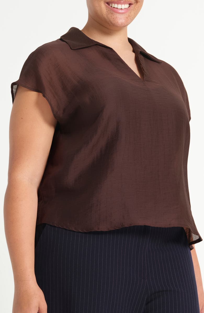 Estelle Kelly Sheer Top, Alternate, color, Chocolate