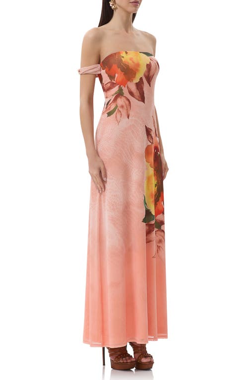 Afrm Barot Printed Off The Shoulder Mesh Maxi Dress