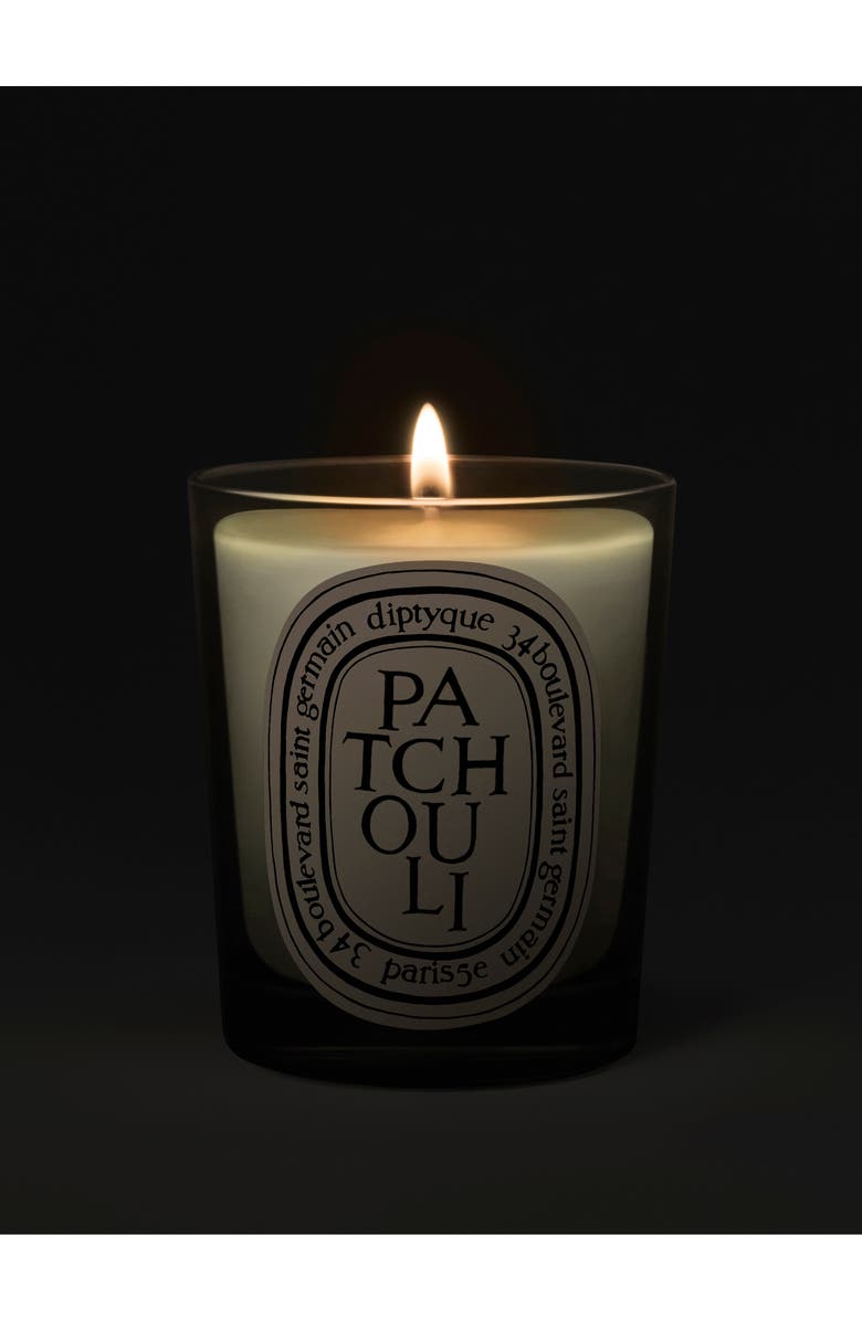 Diptyque Patchouli Scented Candle, Alternate, color, 