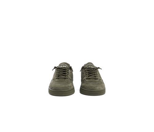 P448 Vert Sneaker In Animal Print