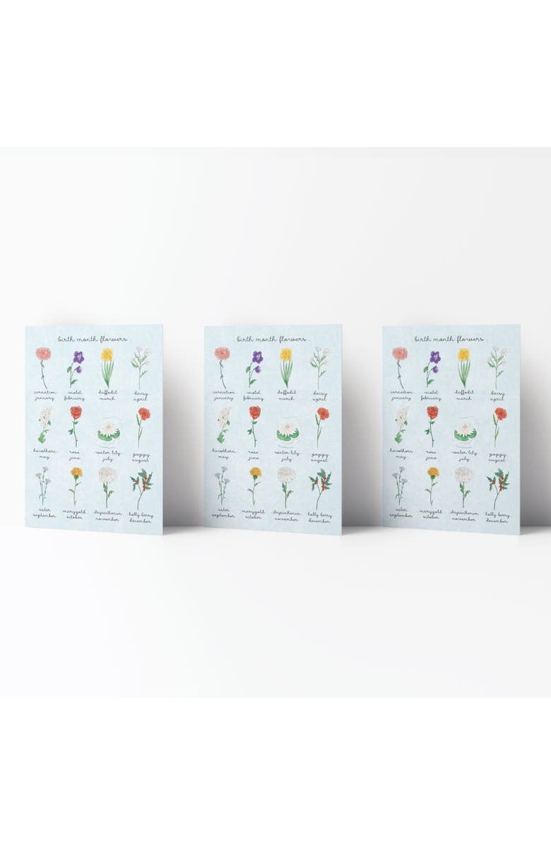 Ramus & Co Birthday Greeting Card Pack (3ct) "Birth Month Flowers", Main, color, Multi-Pack
