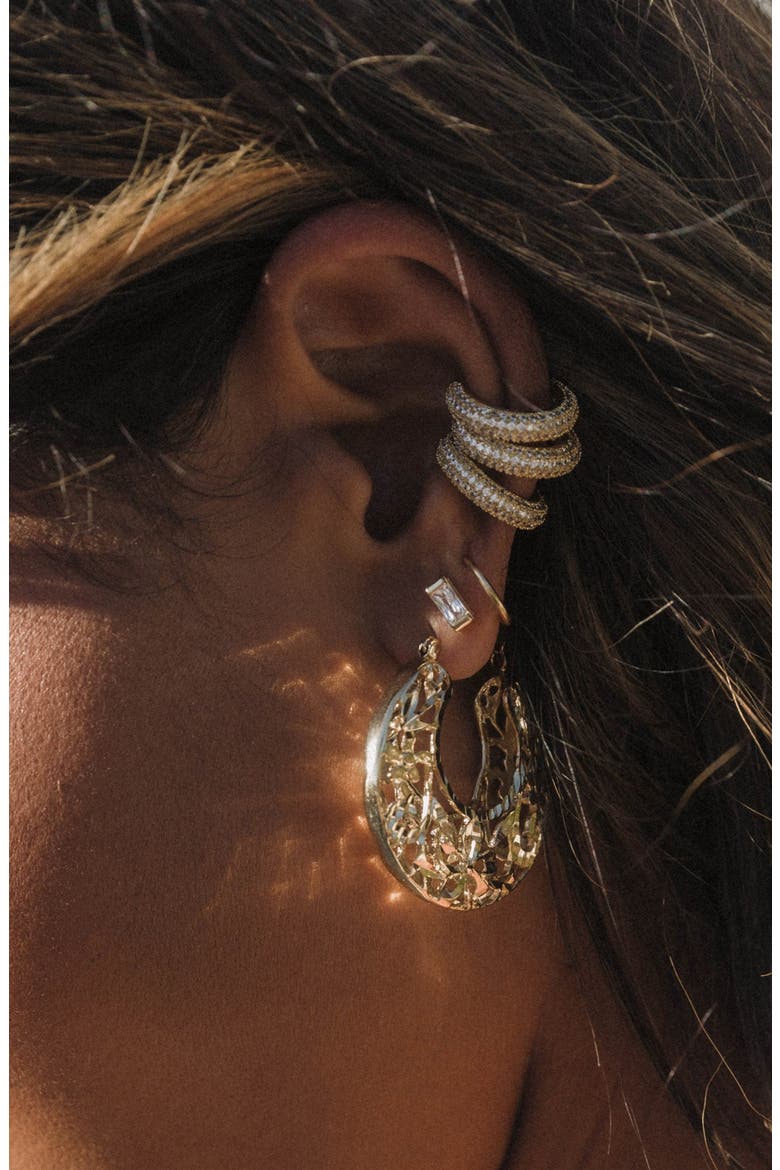 Spanish Fly Hoop Earrings, Alternate, color, GOLD