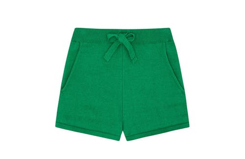 Vild House Of Little Organic Knit Shorts In Beech Tree Green