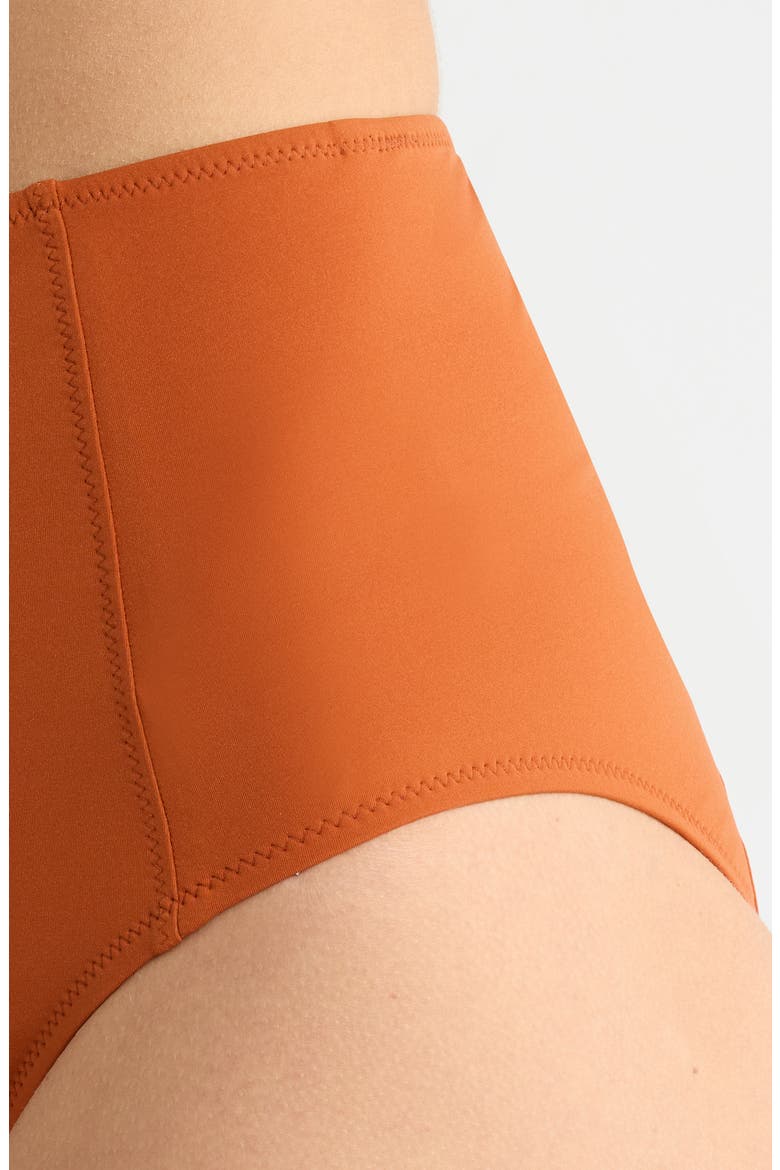 Zahara High Waist Bikini Bottoms, Alternate, color, SIENNA