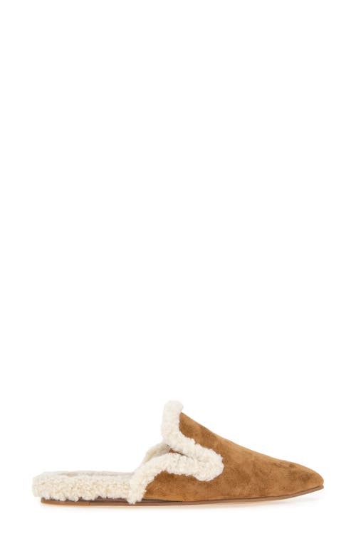 Splendid Liza Pointed Toe Mule In Brown