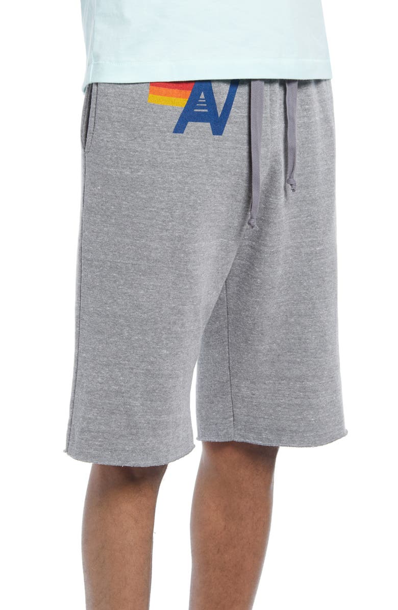 Aviator Nation Cotton Blend Sweat Shorts, Alternate, color, 