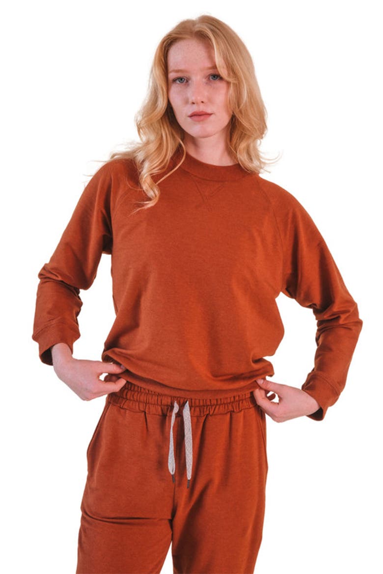 Plus Agnes Organic Cotton + Tencel Jogger Pant, Main, color, Rust