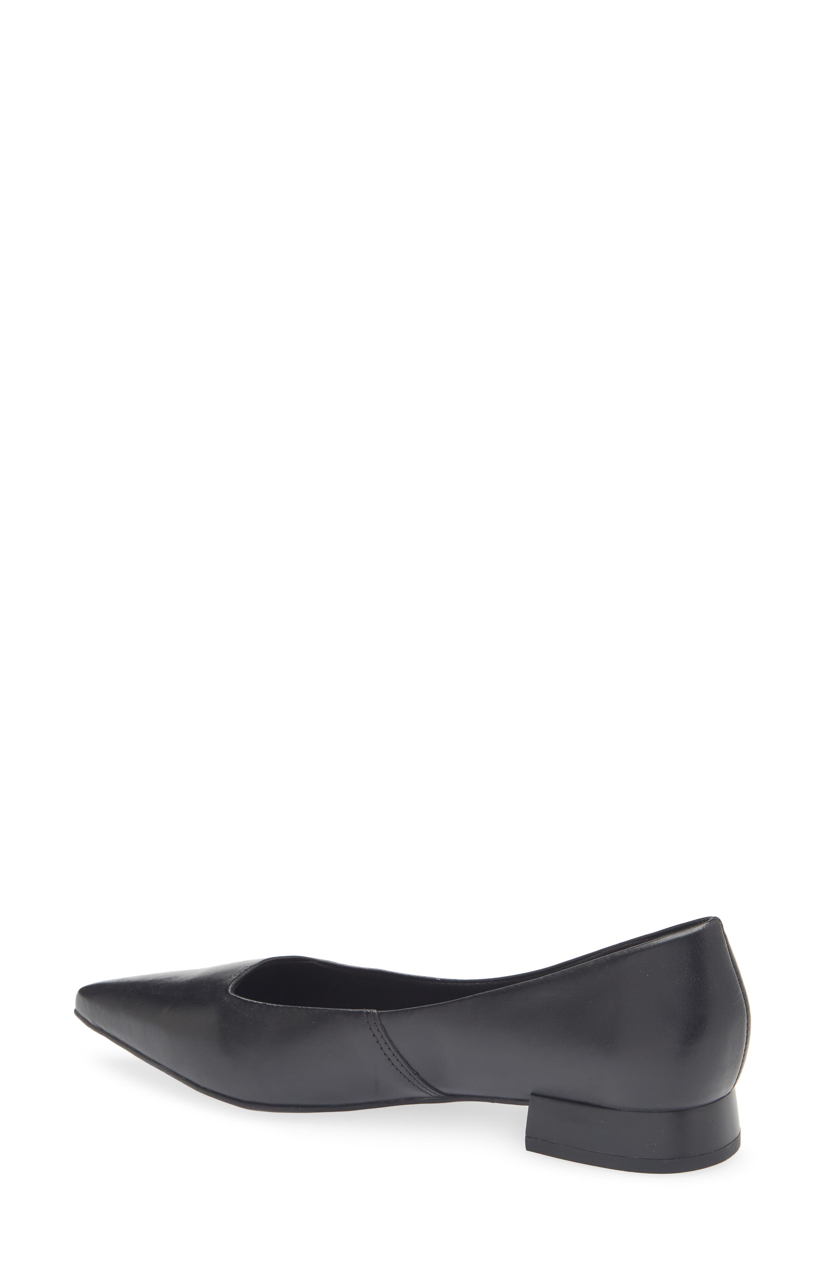 Bottero Alessandra Pointed Toe Ballet Flat, Alternate, color, Preto