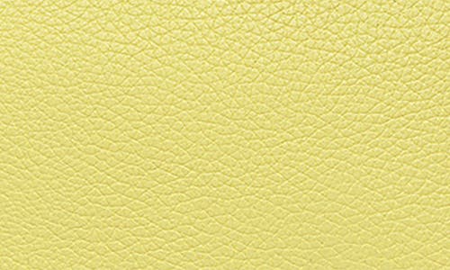 Radley Duke's Place Medium Crossbody Bag