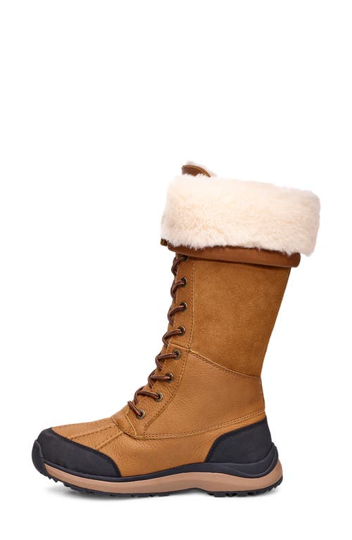 Ugg Adirondack Iii Waterproof Tall Boot In Chestnut