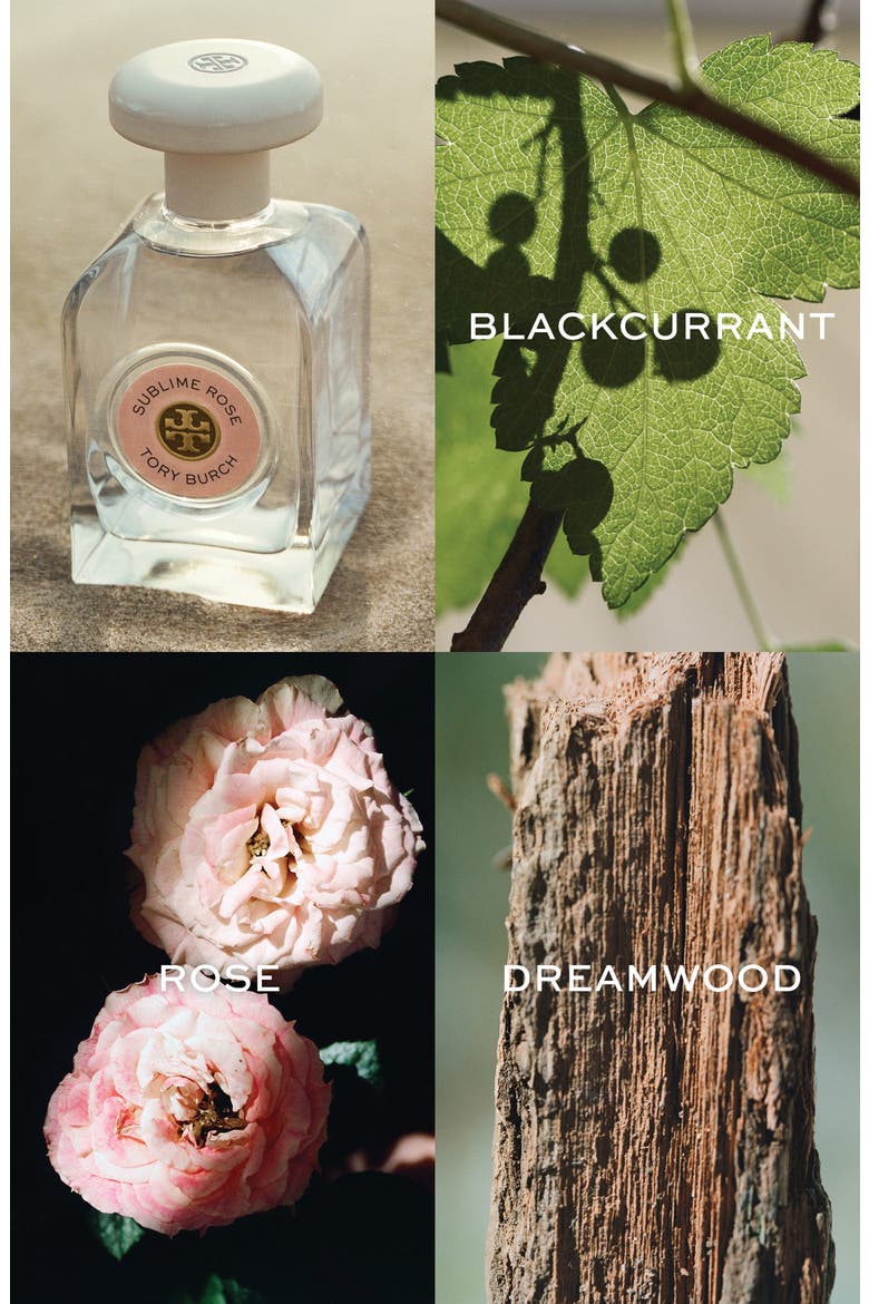 Essence of Dreams Sublime Rose Eau de Parfum, Alternate, color, NO COLOR