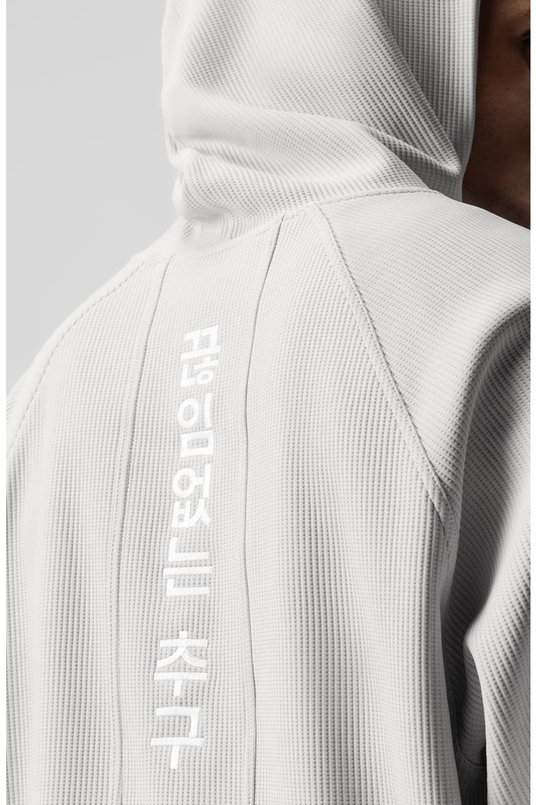 Deltapeak Oversized Hoodie, Alternate, color, Light Grey