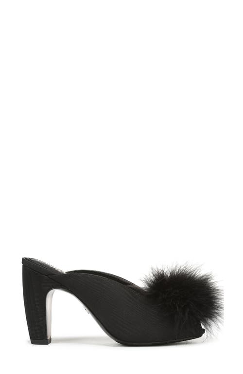 Sam Edelman Witney Feather Embellished Pump In Black