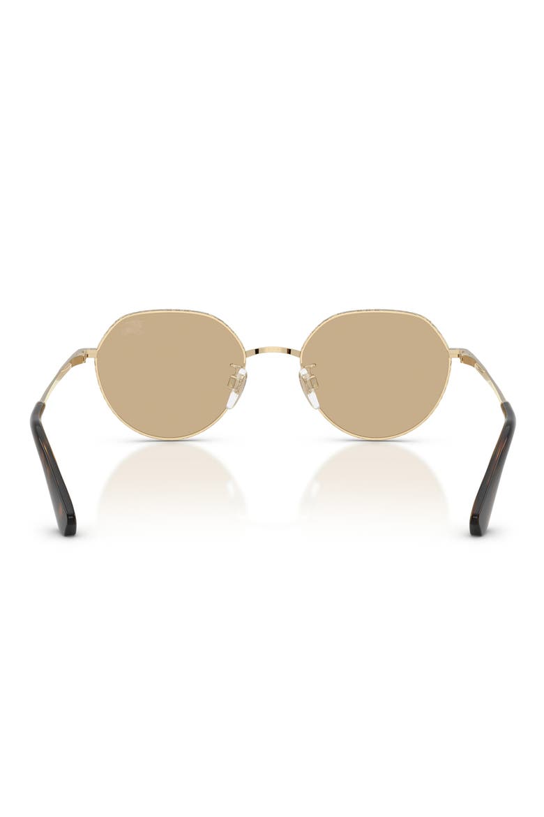51mm Round Sunglasses, Alternate, color, LIGHT GOLD / DARK BROWN