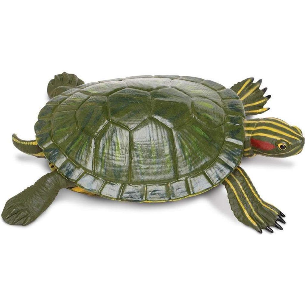 SAFARI LTD. SAFARI LTD. RED-EARED SLIDER TURTLE