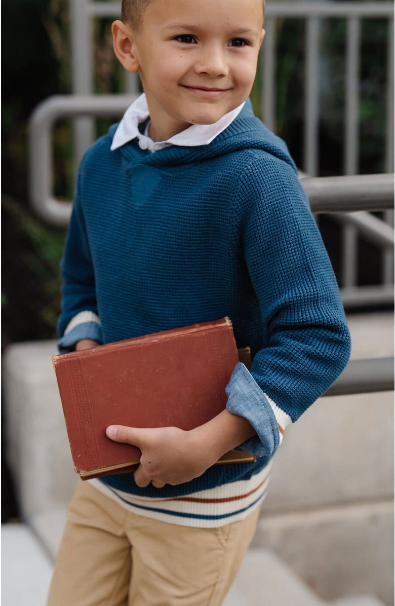 Hope & Henry Boys' Organic Kanga Sweater Hoodie, Kids, Alternate, color, 