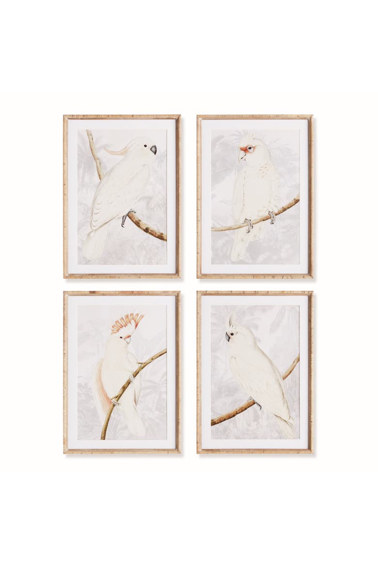 White Cockatoo Prints Framed Wall Art Set of 4, Main, color, Beige
