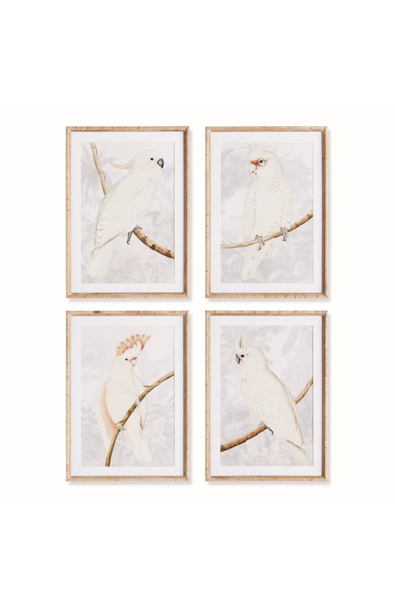 Napa Home & Garden White Cockatoo Prints Framed Wall Art Set of 4, Main, color, 