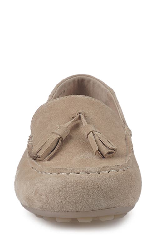 Artisan Crafted By Zigi Patsy Tassel Loafer