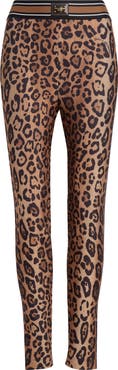 Dolce&Gabbana Leopard Print Leggings