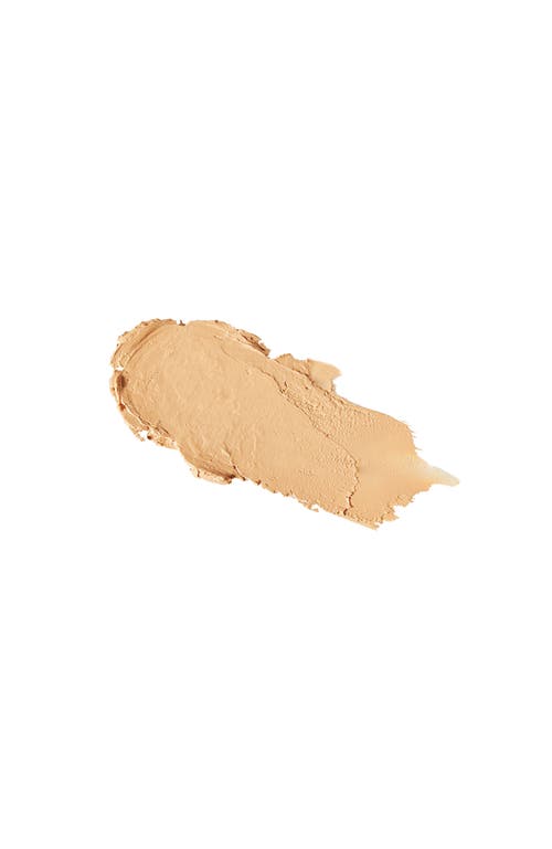 Youngblood Mineral Cosmetics Ultimate Concealer In Brown