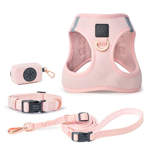 Soho Complete Dog Walking Set