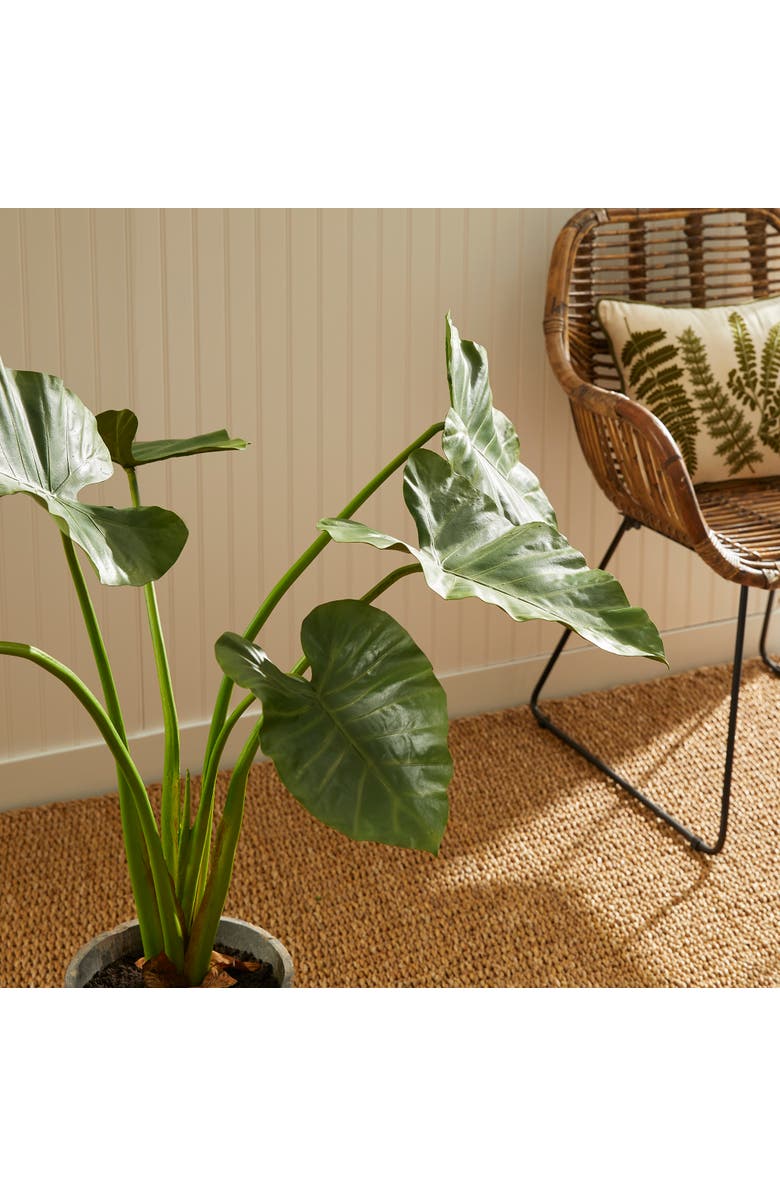 Napa Home & Garden Alocasia Potted 42", Alternate, color, Green