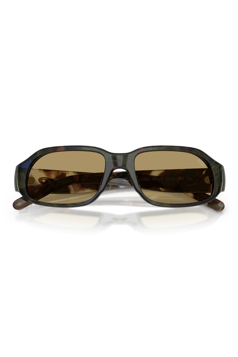 55mm Oval Sunglasses, Alternate, color, GREEN HAVANA / GREEN