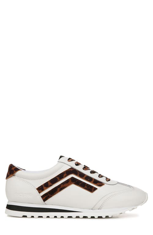 Franco Sarto Matera Oxford Sneakers In Brown Multi