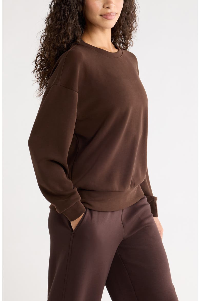 Soft Luxe Boxy Crew Sweatshirt, Alternate, color, BROWN MOLE'