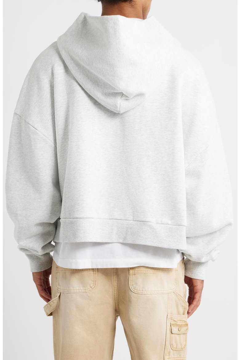 Flag Graphic Zip Hoodie, Alternate, color, ASH GREY