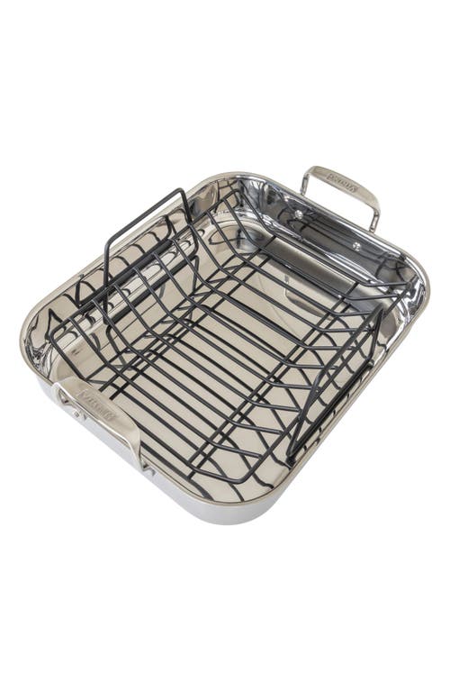 Viking Stainless Steel Roasting Pan & Thermometer In Stainless Steel