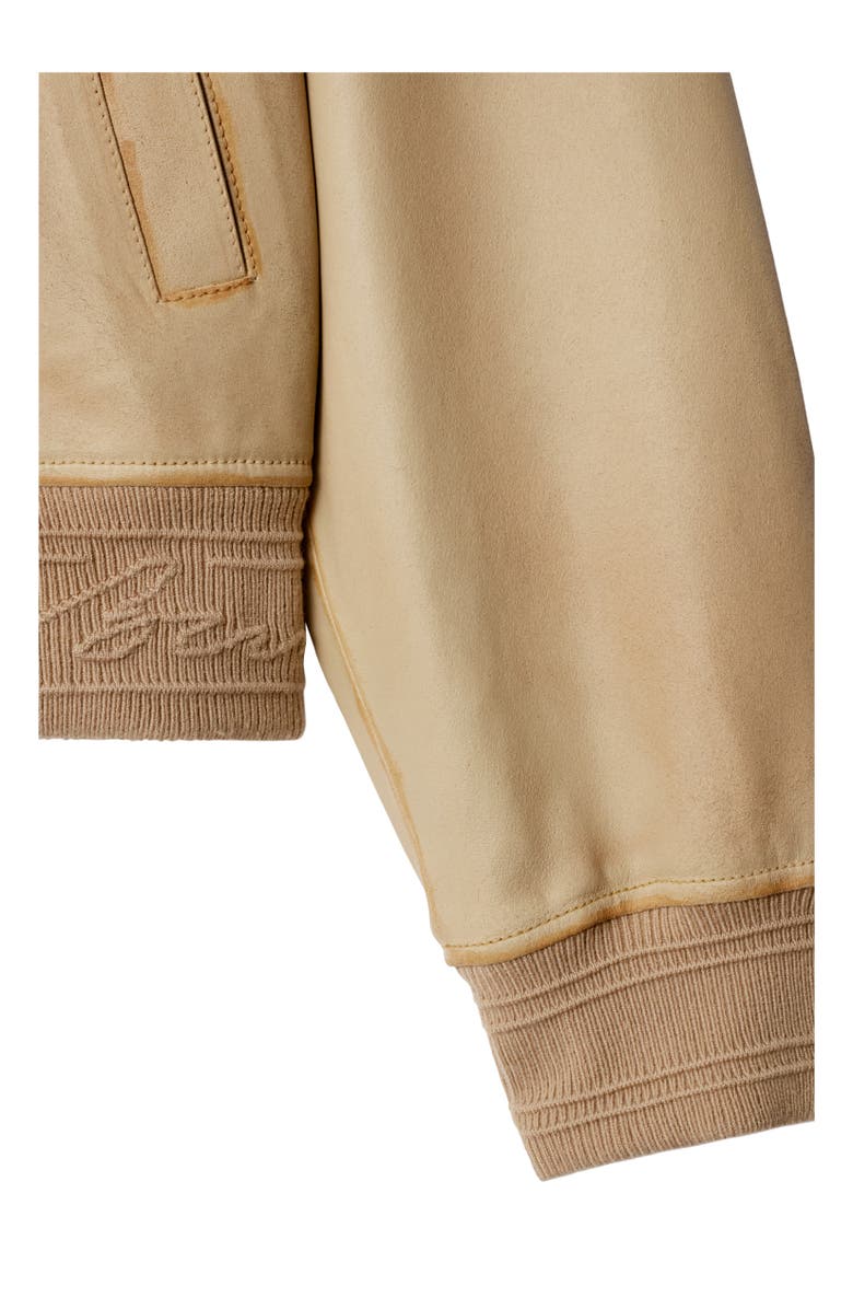 Burberry Suede Harrington Jacket, Alternate, color, 