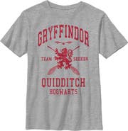 HARRY POTTER Boy's Harry Potter Gryffindor Quidditch Team Seeker  Graphic T-Shirt