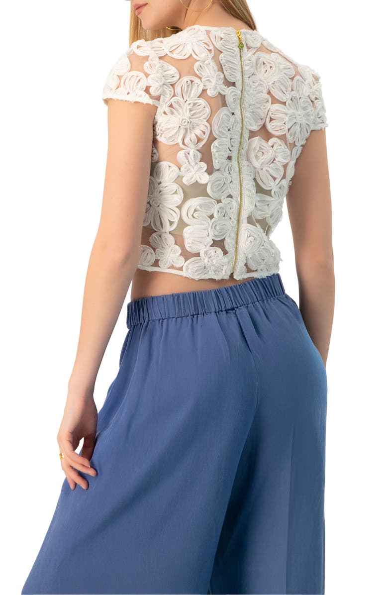 IVONNE See-Through Embroidered Top, Alternate, color, Ivory