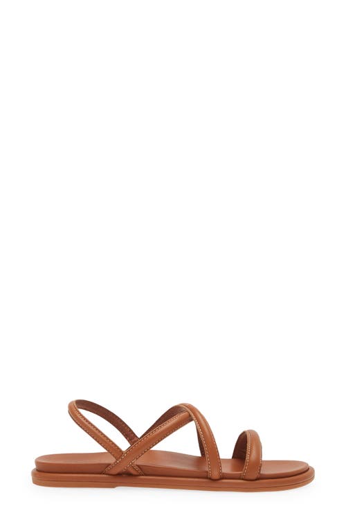 Olukai Tiare Slingback Sandal In Brown