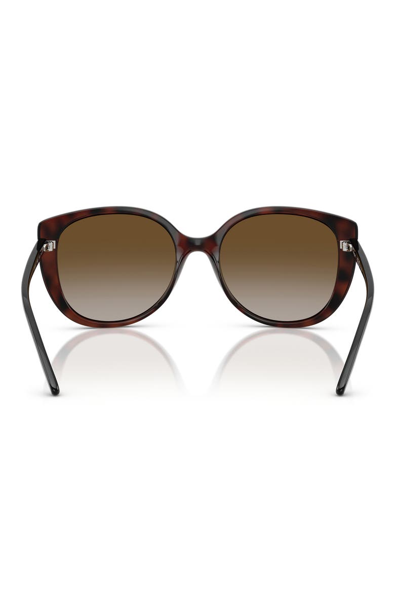 55mm Polarized Gradient Butterfly Sunglasses, Alternate, color, DARK HAVANA