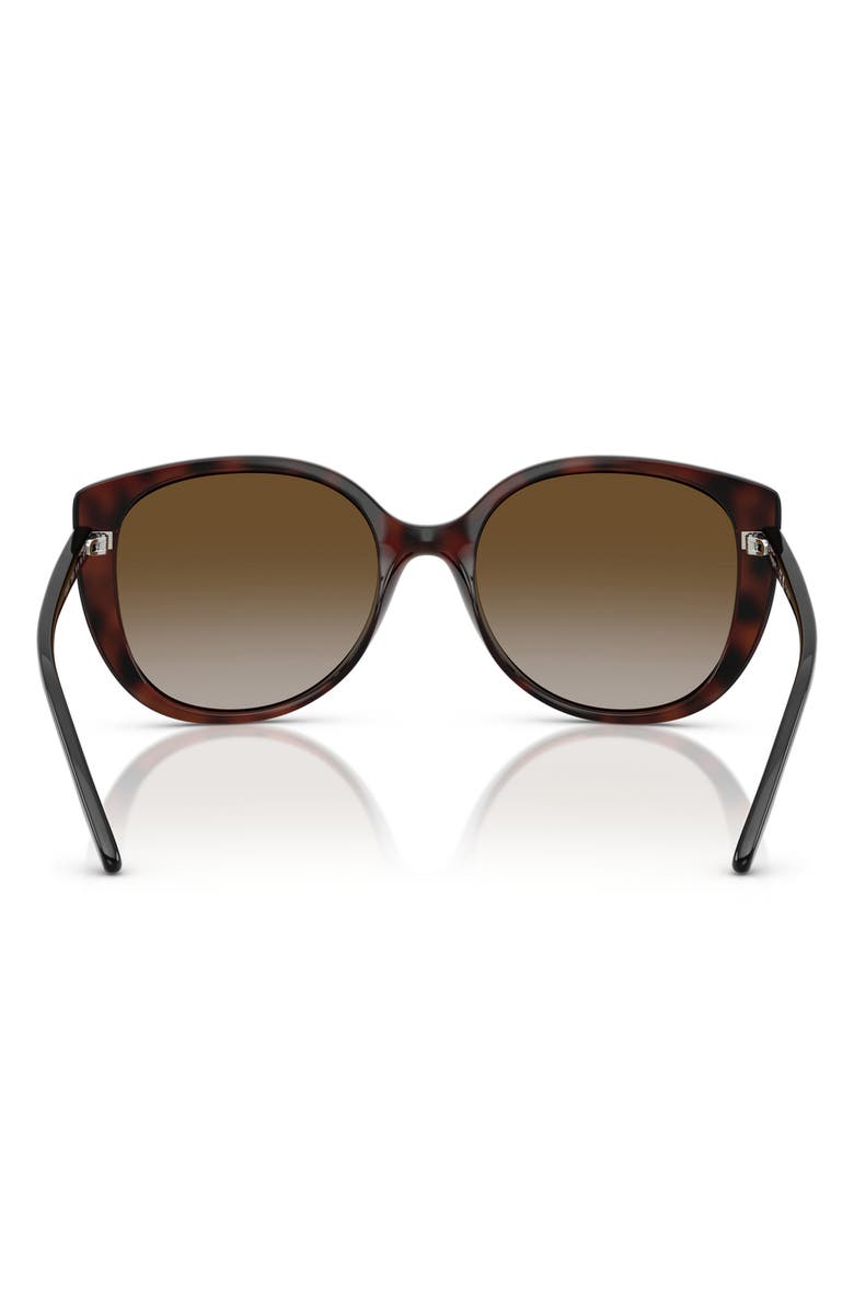 VOGUE 55mm Polarized Gradient Butterfly Sunglasses, Alternate, color, Dark Havana