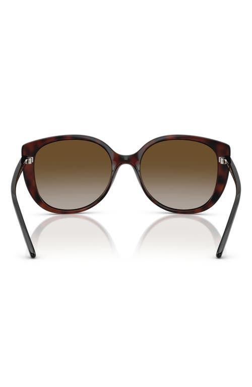 Vogue 55mm Polarized Gradient Butterfly Sunglasses