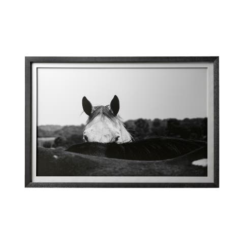 Flirt by Aledanda a Framed Photo Art Print Matted under Glass