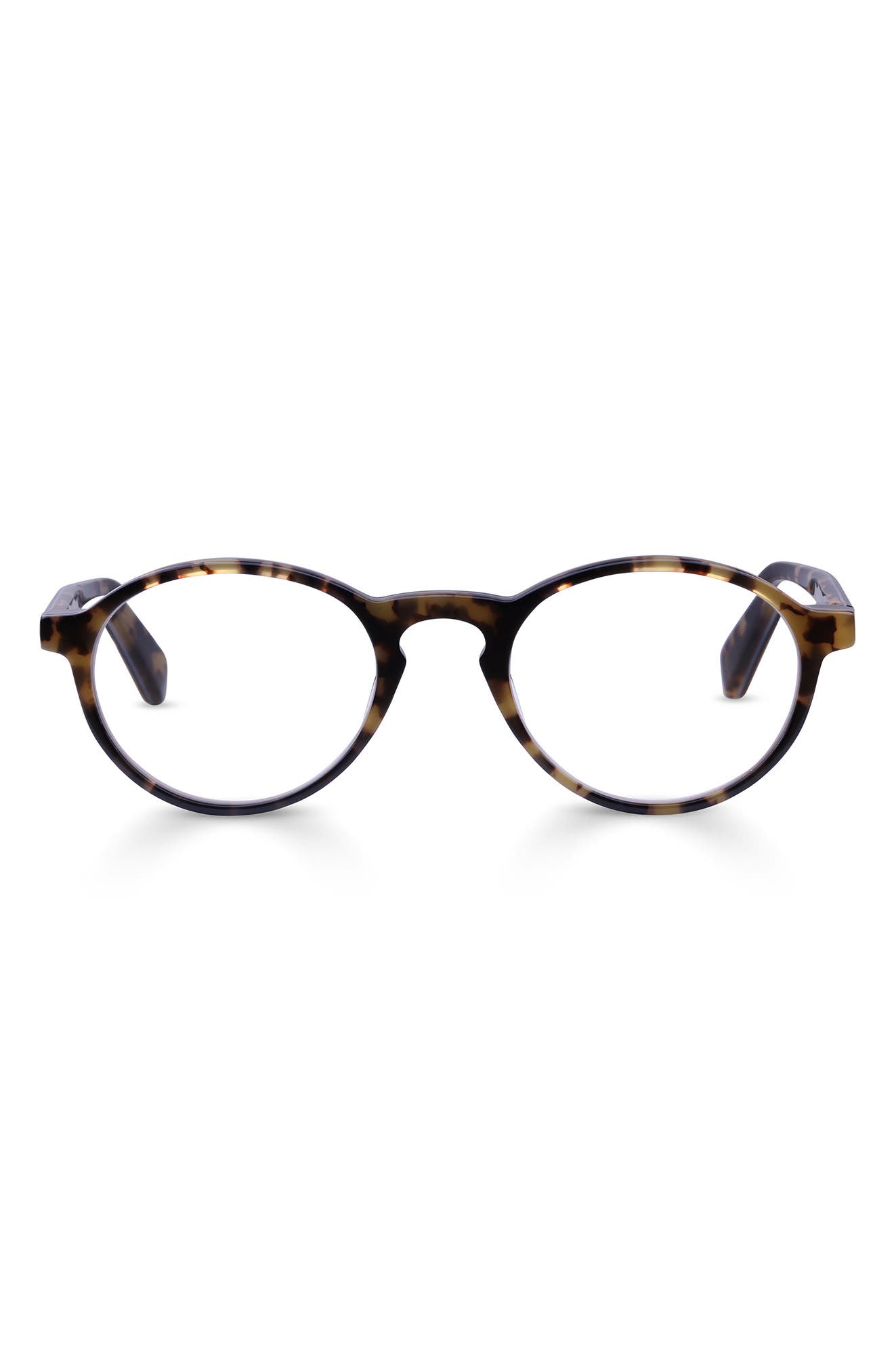 TORTOISE / BLACK TORTOISE