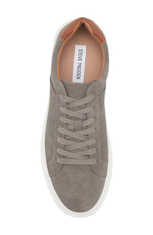 Steve Madden Tucker Sneaker In Animal Print