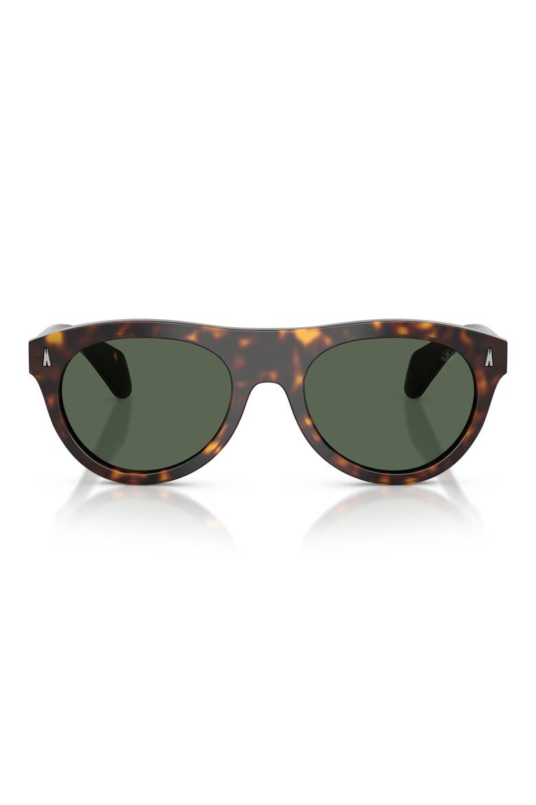 53mm Splash Oval Sunglasses, Main, color, HAVANA / SOLID DARK GREEN